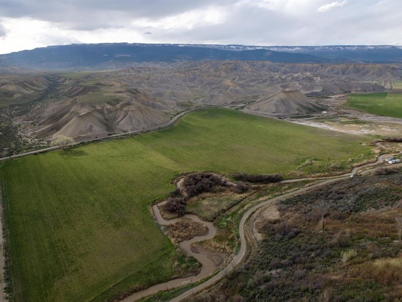 Country Home with Irrigated Land : Eckert : Delta County : Colorado