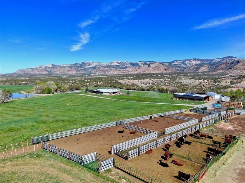 Colorado Cattle Ranch with Grazing : Collbran : Mesa County : Colorado