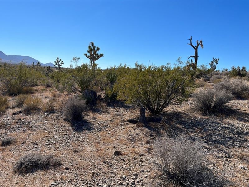 Meadview, AZ 1.3 Acre Property : Meadview : Mohave County : Arizona