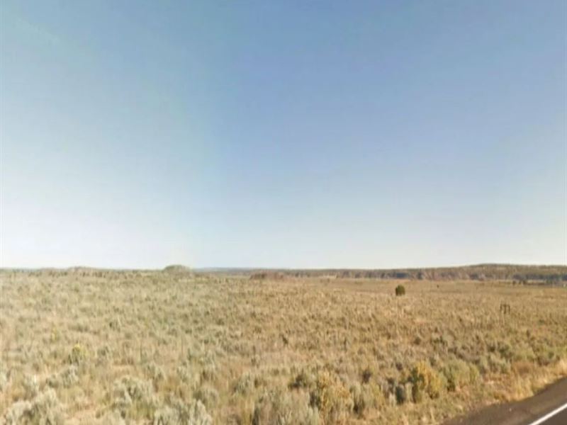 Freedom Awaits You, Own This 1 Acre : Chambers : Apache County : Arizona