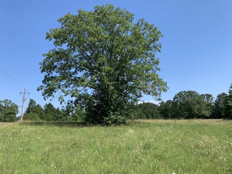 Tidmore Bend Homesite : Gadsden : Etowah County : Alabama