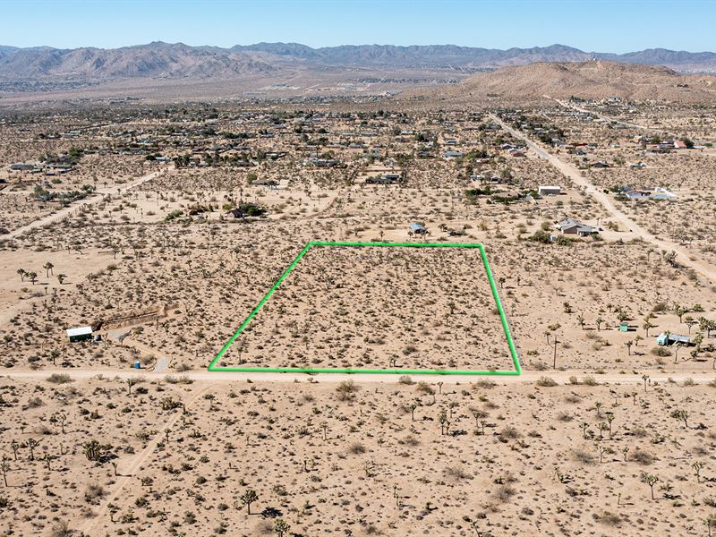 5 Ac in Jt's Hottest Neighborhood : Joshua Tree : San Bernardino County : California