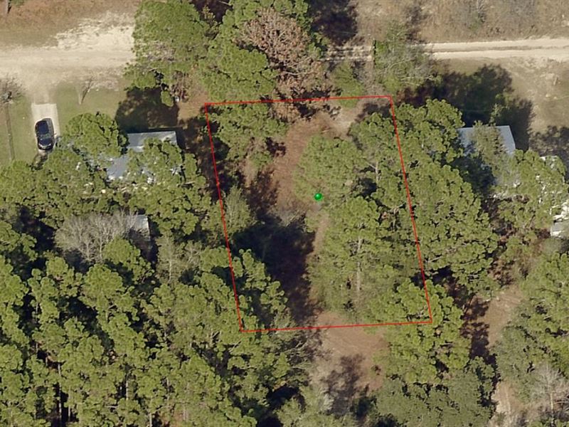 Invest in Citrus County, Florida : Inverness : Citrus County : Florida