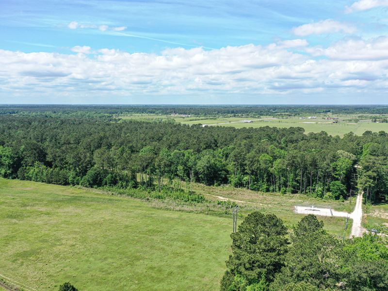 Unrestricted & Close to Houston : Dayton : Liberty County : Texas