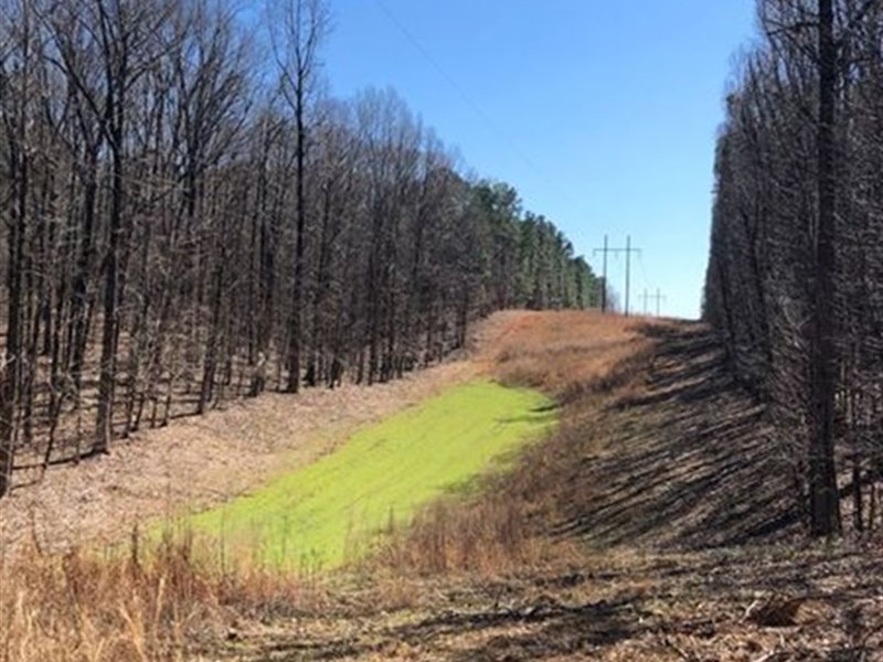 Adams Tract : Butler : Taylor County : Georgia