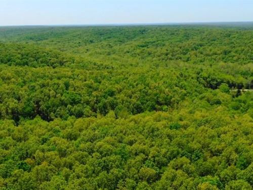 Owner Financed 8 Acres : Macks Creek : Camden County : Missouri