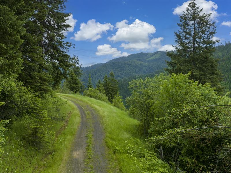 Tinker Creek Getaway : Kooskia : Idaho County : Idaho