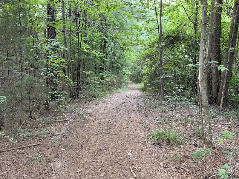 61 Acres, Stephens County, GA : Martin : Stephens County : Georgia