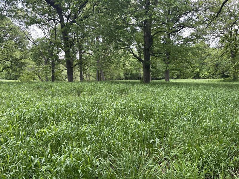 5 Acres in Laclede County Missouri : Falcon : Laclede County : Missouri