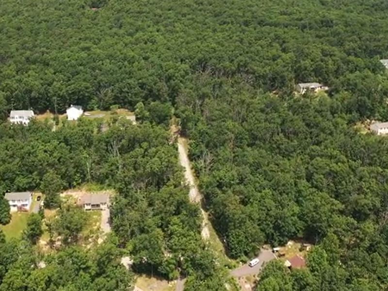 Combined 0.84 Ac Lot for Sale : Winchester : Frederick County : Virginia