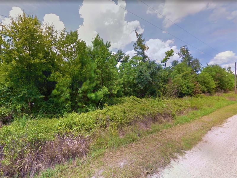 .12 Acre, Bay Saint Louis, $200/Mo : Bay Saint Louis : Hancock County : Mississippi