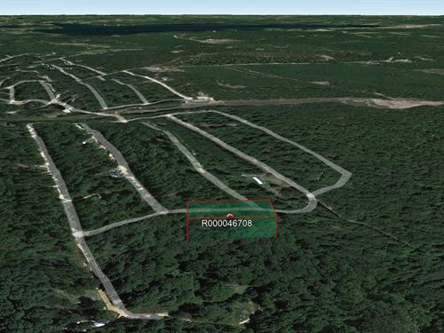 .69 Acre in Harleton, $350/Mo : Harleton : Harrison County : Texas