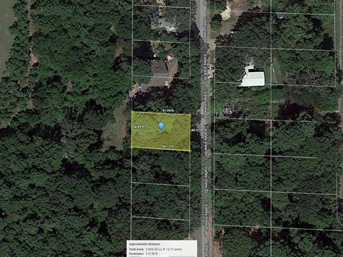 .14 Acre in Frankston, $250 a Month : Frankston : Henderson County : Texas