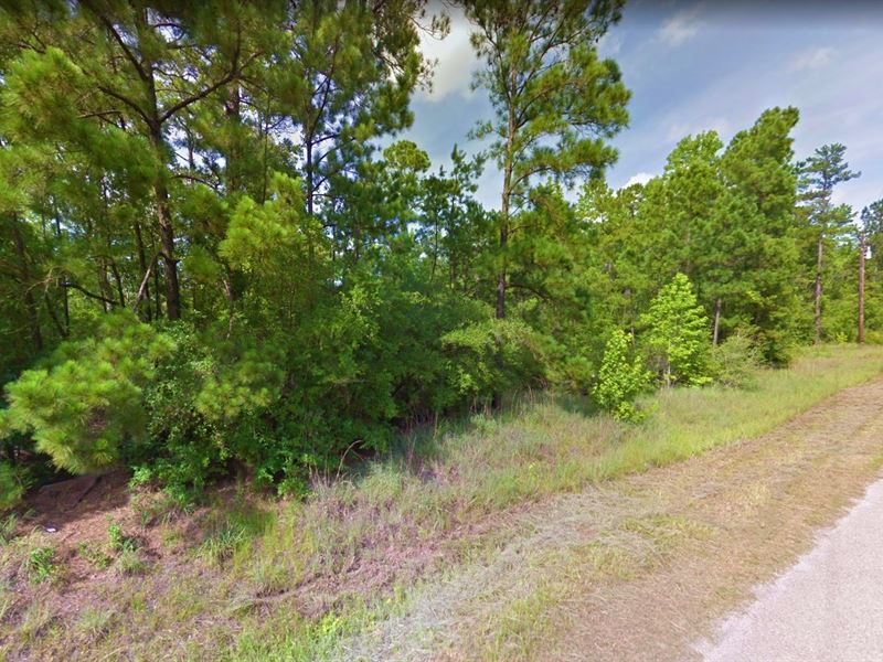 .3 Acre in Brookeland, Texas : Brookeland : Jasper County : Texas