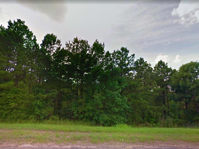 .23 Acre in Brookeland, Texas : Brookeland : Jasper County : Texas