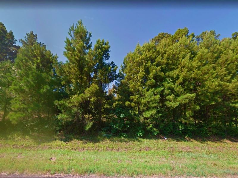 .13 Acre in Jefferson, Texas : Jefferson : Marion County : Texas