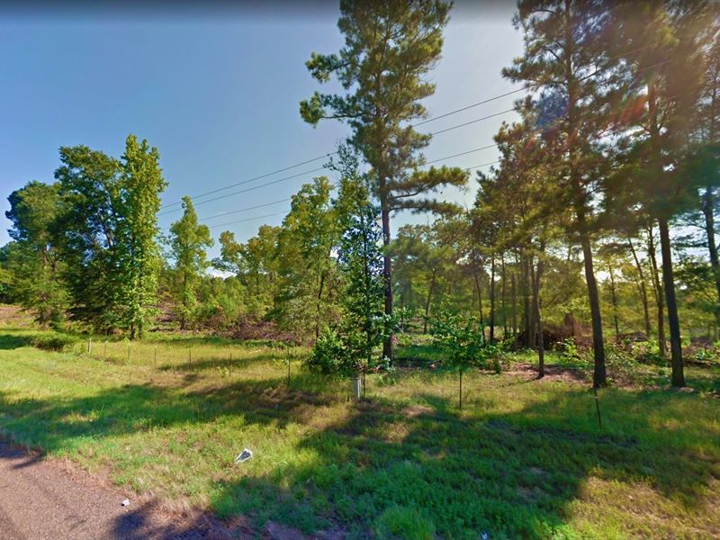 .34 Acre in Jefferson, Texas : Jefferson : Marion County : Texas