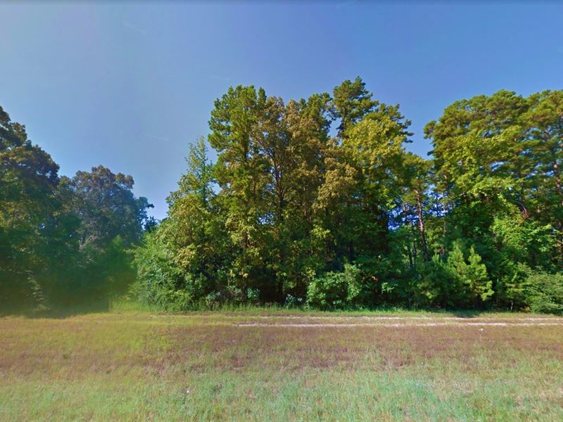 .13 Acre in Jefferson, Texas : Jefferson : Marion County : Texas
