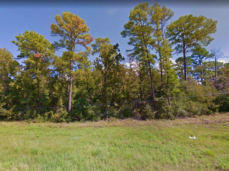 .22 Acre in Onalaska, Texas : Onalaska : Polk County : Texas
