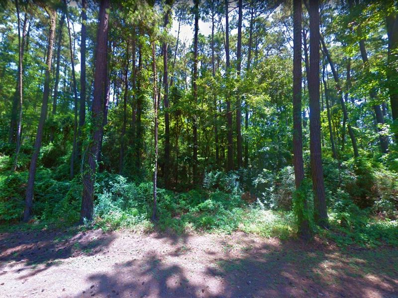 .26 Acre in Hemphill, Texas : Hemphill : Sabine County : Texas