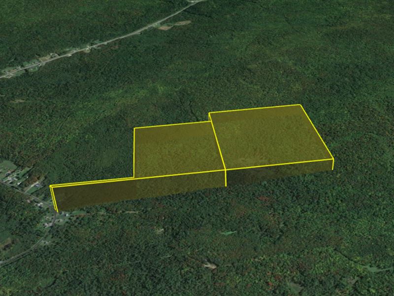 2 Large Lots Near Lake Chazy, NY : Ellenburg Depot : Clinton County : New York