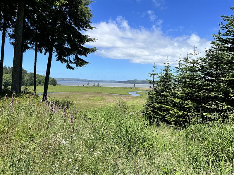 Stuart Slough : South Bend : Pacific County : Washington