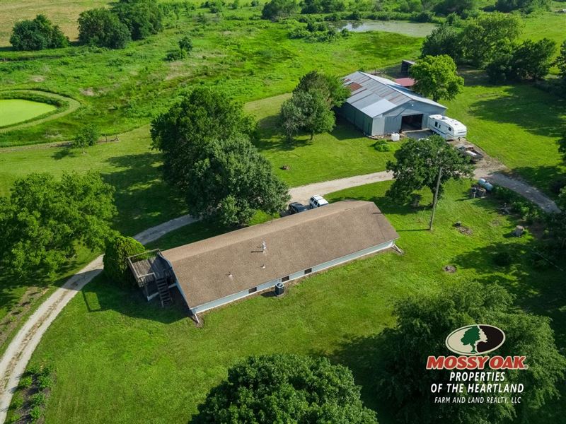 Wildlife Abound : Scranton : Osage County : Kansas