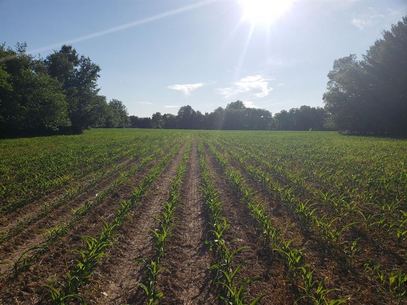 Fairview 8 : Clinton : Vermillion County : Indiana