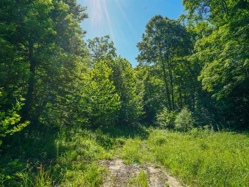 Albright Rd, 42 Acres, Vinton Cou : Londonderry : Vinton County : Ohio