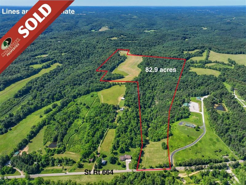 St Rt 664, 82.9 Acres, Hocking Co : Logan : Hocking County : Ohio