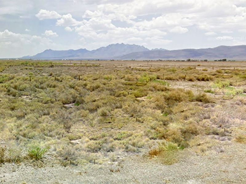 No Zoning, Half Acre in Luna County : Deming : Luna County : New Mexico