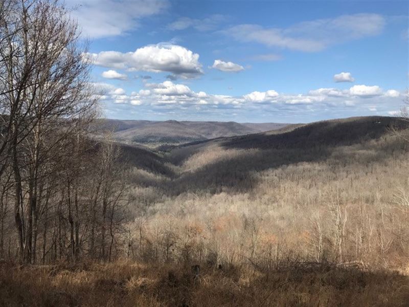 17+/- Acres with Bluff Views : South Pittsburg : Marion County : Tennessee