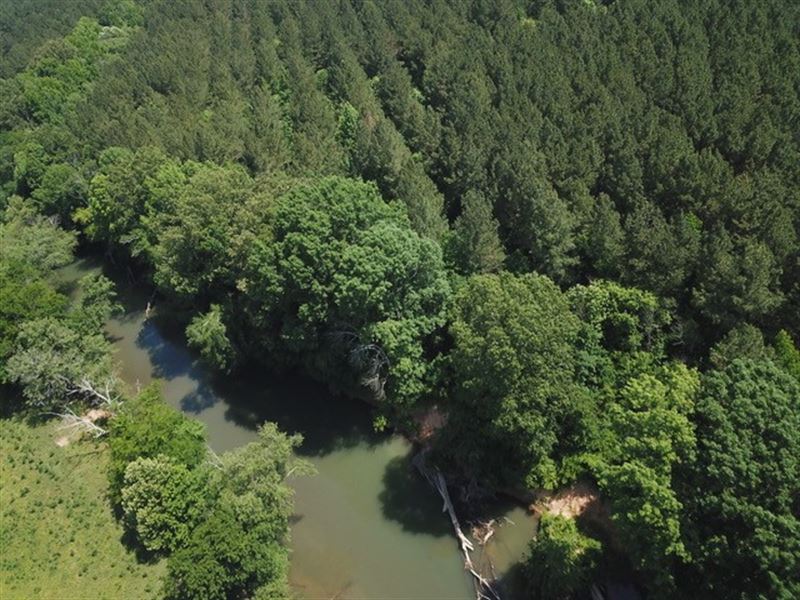 84.85+/- Acres Bordering Seq River : Whitwell : Marion County : Tennessee