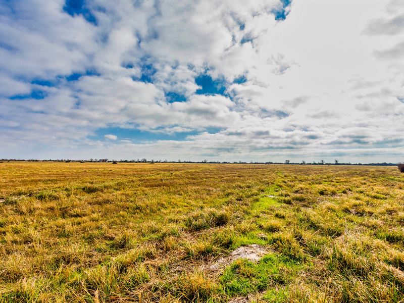 Dream Home Tract Near Houston : Eagle Lake : Colorado County : Texas