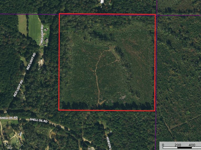 Red Light Road, 40 ac : Brandon : Rankin County : Mississippi