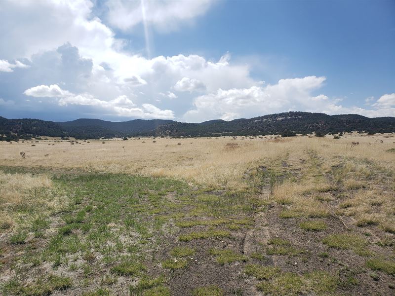 Rugby Ranch Lot 28 : Aguilar : Las Animas County : Colorado