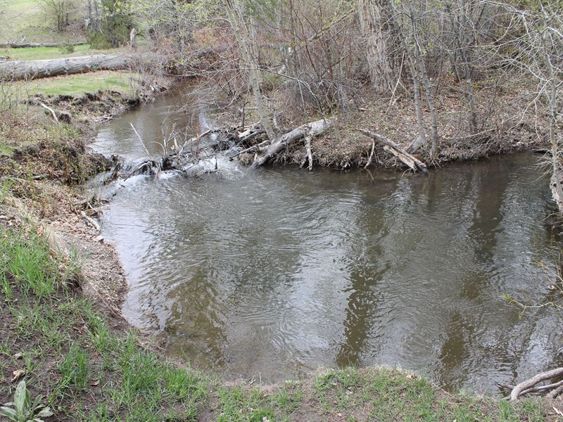 Dry Creek Tract B1 : Townsend : Broadwater County : Montana