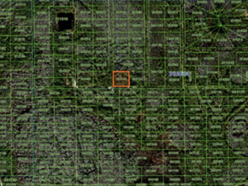 1.25 Acre Lot in Grove Ranch Acres : Polk City : Polk County : Florida