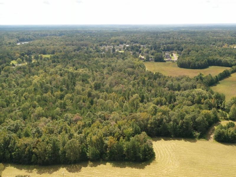 Old Yorkville Road, New Hope 65 Ac : Columbus : Lowndes County : Mississippi