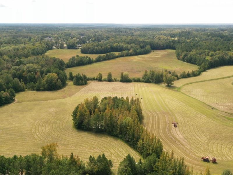 Old Yorkville Road, New Hope 100.0 : Columbus : Lowndes County : Mississippi