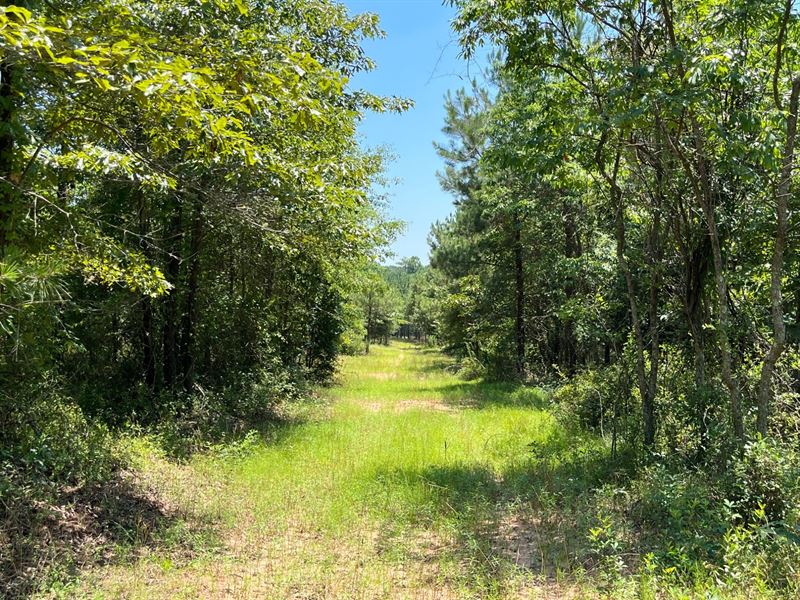 119 Ac Crenshaw Co : Luverne : Crenshaw County : Alabama