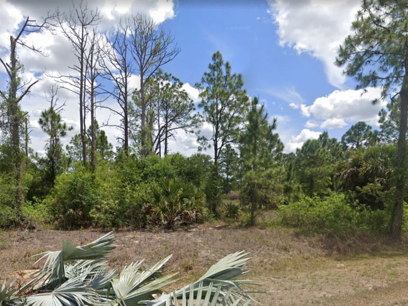 .50 Acre Lot in Lehigh Acres, FL : Lehigh Acres : Lee County : Florida