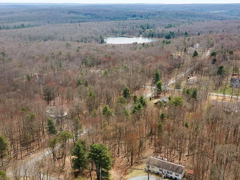 47K Sqft in Tafton, PA : Tafton : Pike County : Pennsylvania