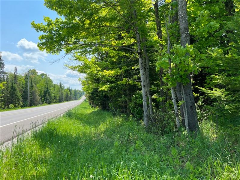 Northern Adirondacks on Rice Brook : Duane : Franklin County : New York