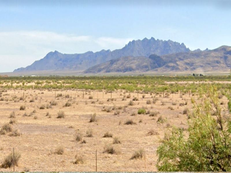Prime Location, Half Acre Lot : Deming : Luna County : New Mexico