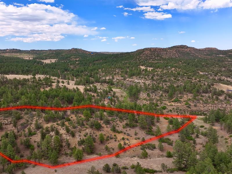 5 Acres in Co, Owner Financing : Weston : Las Animas County : Colorado