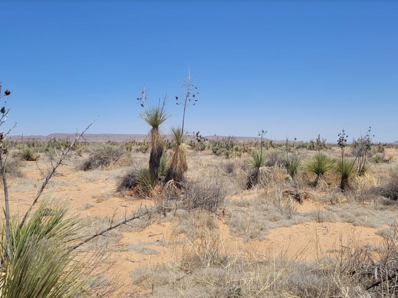 Build Your Minimalist House : Agua Dulce : El Paso County : Texas