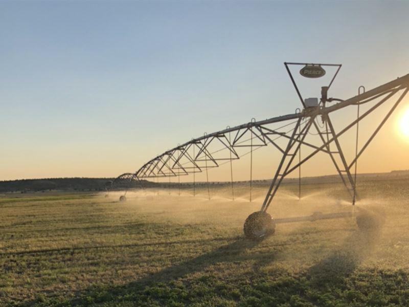 Eastern Oregon Farm, 3S Farms : Burns : Harney County : Oregon