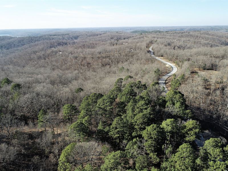 Stunning 40 Ac Near Beaver Lake : Rogers : Benton County : Arkansas