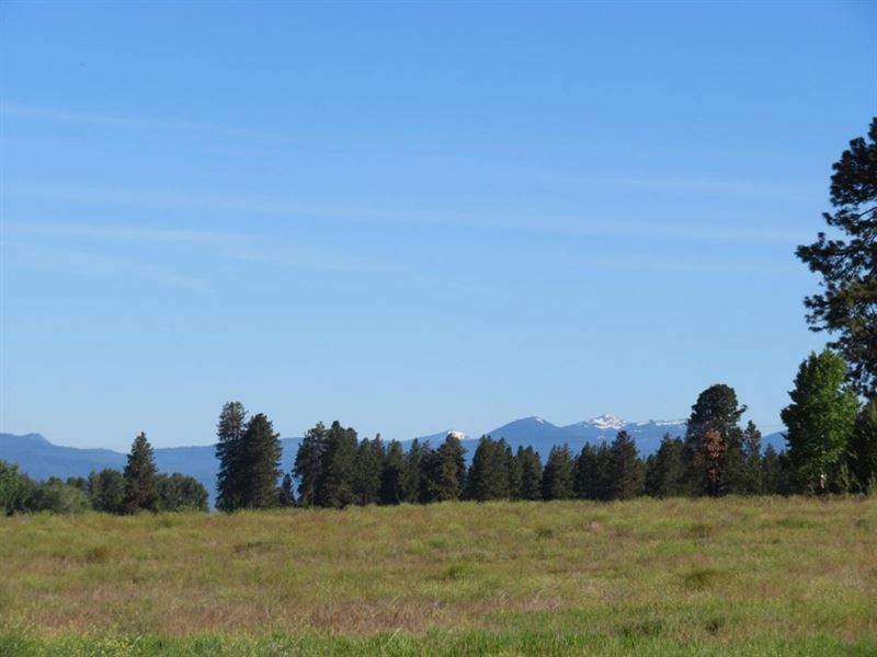 Agency Lake Ranches : Chiloquin : Klamath County : Oregon